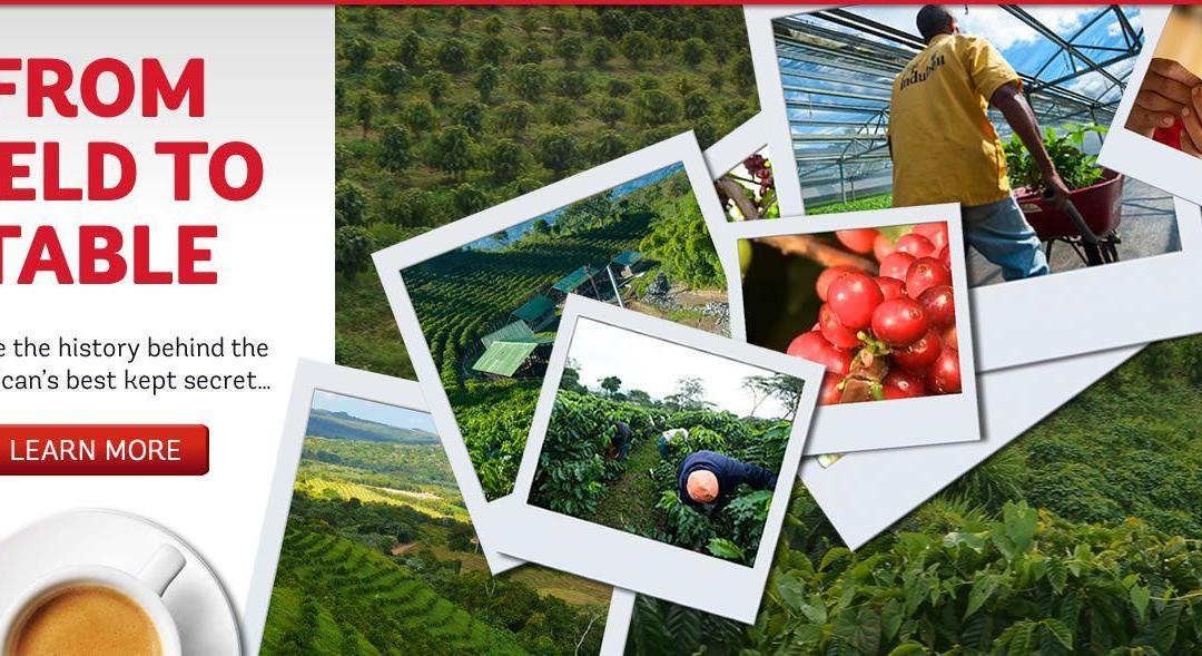 The Importance of Field to Table