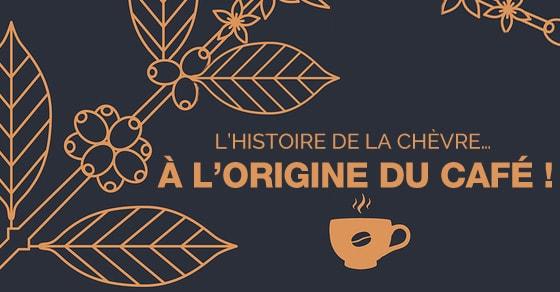 L’histoire de la chèvre… à l’origine du café !